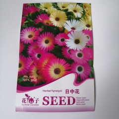 Lampranthus seeds 30 seeds/bags