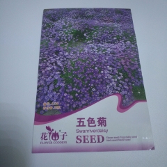 Brachycome iberdifolia seeds 30 seeds/bags