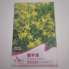 Sedum lineare seeds 50 seeds/bags