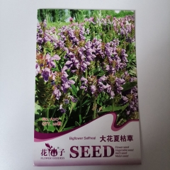 big selfheal seeds 20 seeds/bags