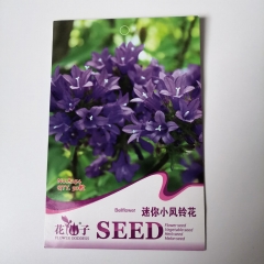 Mini bellflower seeds 50 seeds/bags