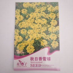 yellow alyssum seeds 50 seeds/bags