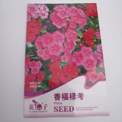 annual phlox seeds 5 seeds/bags