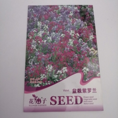 violet seeds 30 seeds/bags