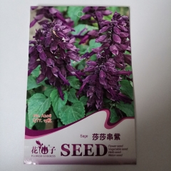 Purple sage seeds 15 seeds/bags