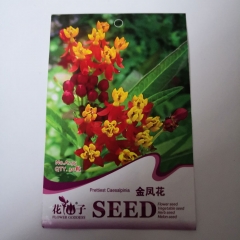 caesalpinia pulcherrima seeds 30 seeds/bags