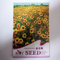 sanvitalia seeds seeds 30 seeds/bags