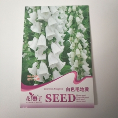 white Foxglove seeds 50 seeds/bags