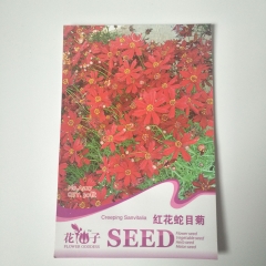 red Sanvitalia procumbens seeds 30 seeds/bags