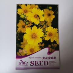 Giant coreopsis seeds 50 seeds/bags