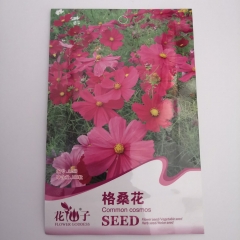 Galsang flower seeds 100 seeds/bags