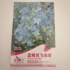 Consolida ajacis seeds 30 seeds/bags