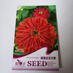 Orange zinnia elegans seeds 50 seeds/bags
