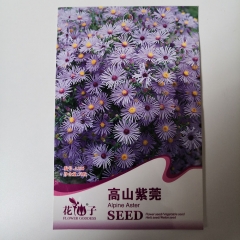 alpine aster seeds 50 seeds/bags