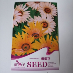 dimorphotheca seeds 50 seeds/bags