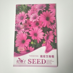 african daisy seeds 15 seeds/bags
