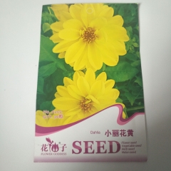 yellow dahlia seeds 30 seeds/bags