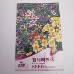 annual phlox seeds 30 seeds/bags