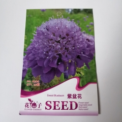 sweet bluebasin seeds 20 seeds/bags