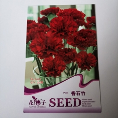 red carnation seeds seeds 30 seeds/bags
