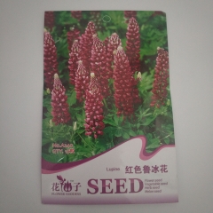 Red lupine seeds 15 seeds/bags