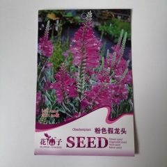 Physostegia virginiana seeds 30 seeds/bags