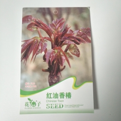Toona sinensis seeds 20 seeds/bags