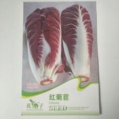 Red chicory seeds 30 seeds/bags