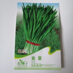 Leek seeds 100 seeds/bags
