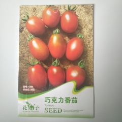 Red tomato seeds 20 seeds/bags