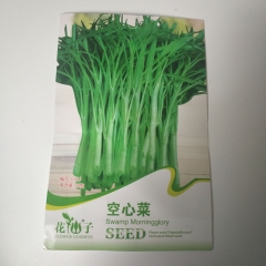 water spinach seeds 20 seeds/bags