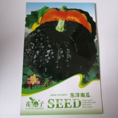 Japan pumpkin seeds 8 seeds/bags