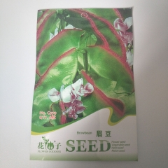 Brown bean seeds 6 seeds/bags