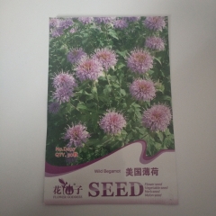 Monarda didyma seeds 50 seeds/bags