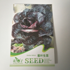 Purple lettuce seeds 30 seeds/bags