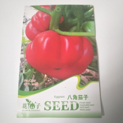 Red pumpkin seeds 20 seeds/bags