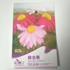 pyrethrum seeds 50seeds/bags
