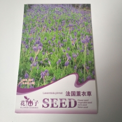 French lavender seeds 20 seeds/bags