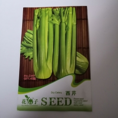 Giant celery seeds 20 seeds/bags