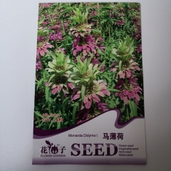 Monarda seeds 40 seeds/bags