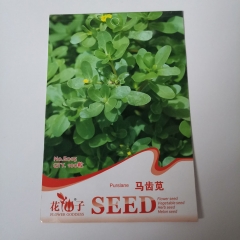 summer purslane seeds 100 seeds/bags