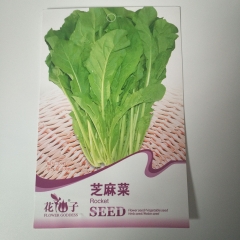 Eruca sativa seeds 100 seeds/bags