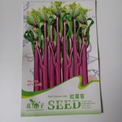 Red Chinese kale seeds 40 seeds/bags