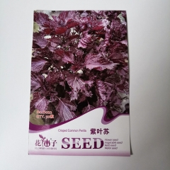 Purple common perilla seeds 50 seeds/bags