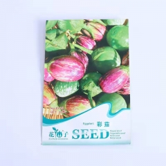 Mix eggplant seeds 20 seeds/bags