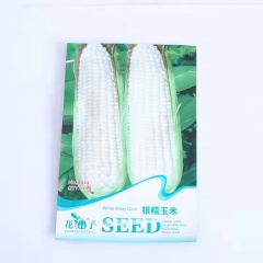 White corn seeds 10 seeds/bags