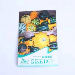 Doll pumpkin seeds 10 seeds/bags