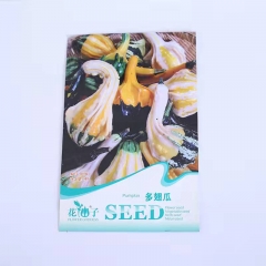 ornamental pumpkin seeds 8 seeds/bags