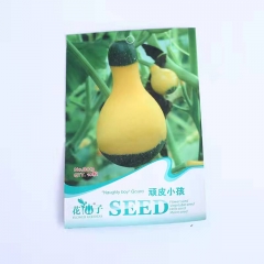 Naughty boy pumpkin seeds 10 seeds/bags