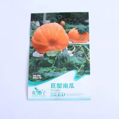 Giant pumpkin seeds 5 seeds/bags